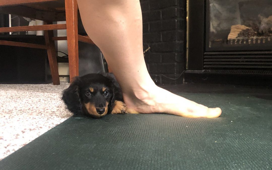Foam Rolling and Low Cadence Intervals