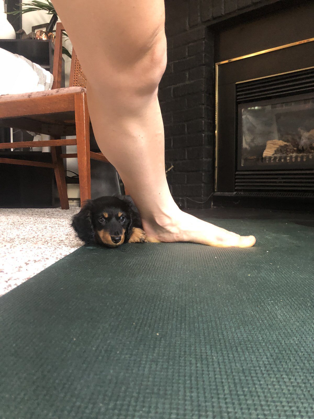 A small black and brown puppy lies on a dark mat, peeking out from underneath it. In the foreground, a person's bare foot and lower leg are visible, standing on the mat. A fireplace and furniture are seen in the background.