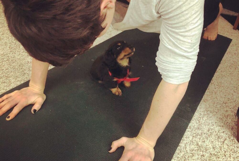 Our First Week with a Puppy!