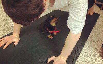 Our First Week with a Puppy!