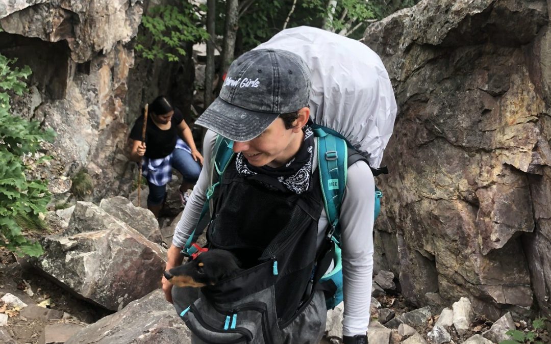 Tips for Camping and Hiking with a Small Dog or Puppy