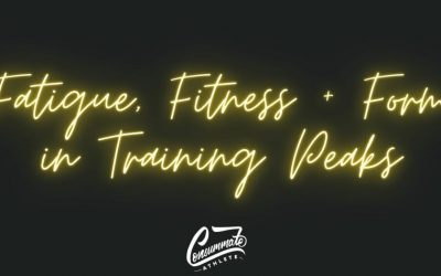 One Training Metric to Rule Them All, AKA DW’s Pants