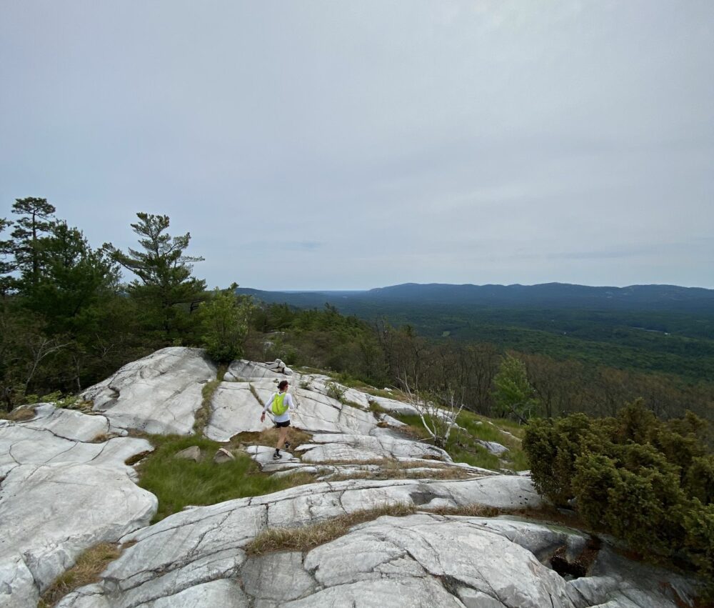 A hiker in a bright shirt sits on a rocky outcrop on a mountain, with trees nearby. The vast landscape below includes a mix of forested areas and distant hills under a cloudy sky.