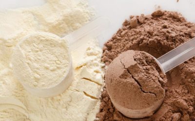 Choosing the Right Whey (Protein)