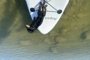 The Reasonably-Priced Inflatable SUP That Changed My Life